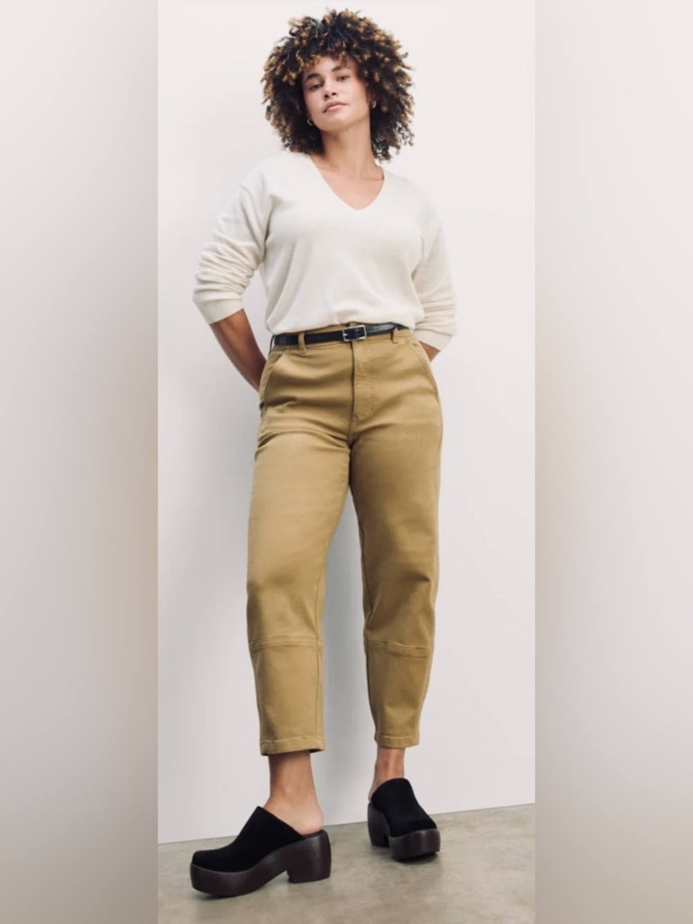Everlane Barrel Leg Utility Pants Khaki Cropped High Rise Workwear Style Size 4